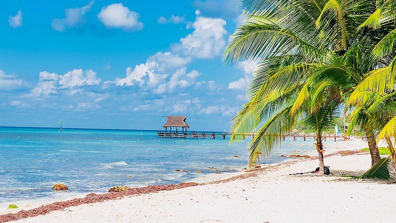cozumel-beach-and-pier-2560x1440
