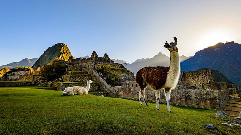 machu-picchu-with-llamas-2560x1440.jpg.rend.16x9-med